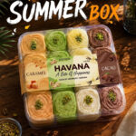 Summer Box Havana