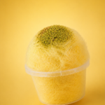 LEMON Havana
